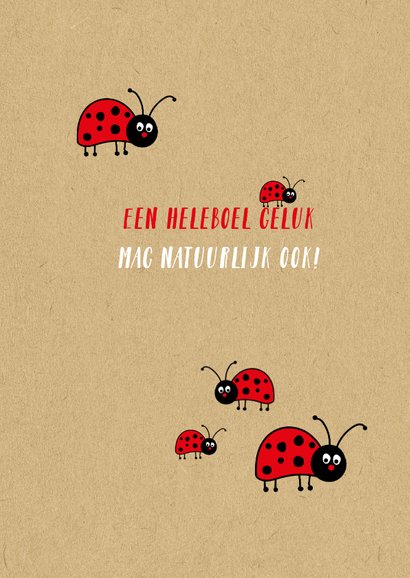 Beterschap Moed hoop en een beetje geluk 2