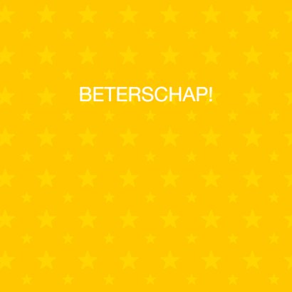 Beterschap - Olifant met gebroken slurf 3