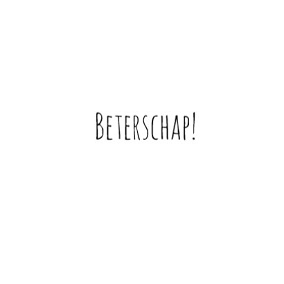 Beterschap - Puppy met knuffel 3