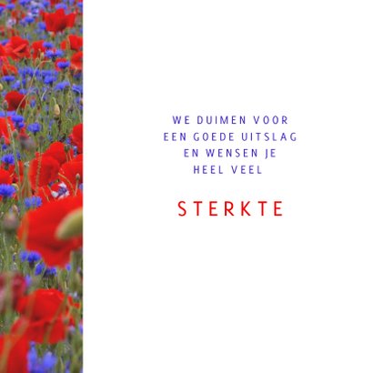 Beterschap spreuk klaproos 3