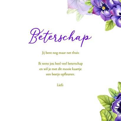 Beterschap violen 3