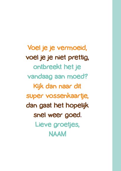 Beterschap Vos 3