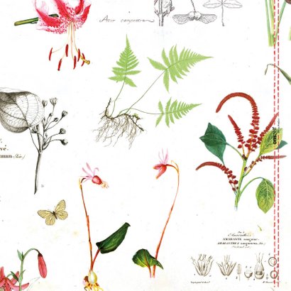 Beterschapkaart met botanische bloemenprint 2