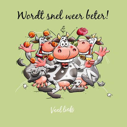 Beterschapskaart 3 koeien met fruit 3
