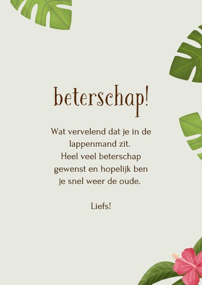 Beterschapskaart aapje jungle hang in there 3