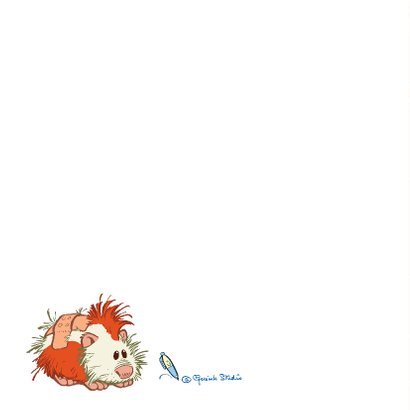Beterschapskaart cavia - A 2