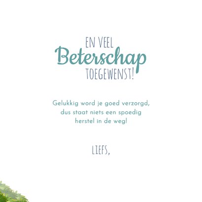 Beterschapskaart een knuffel dokter vos en patiënt konijn 3