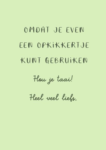 Beterschapskaart groen met getekende kikker 3