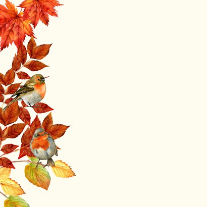 Beterschapskaart herfst roodborstjes 2