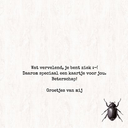 Beterschapskaart Kevers - GET WELL SOON!! 3