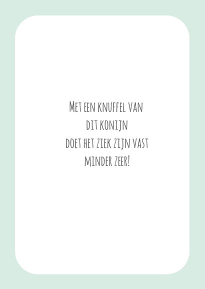 Beterschapskaart konijn 3