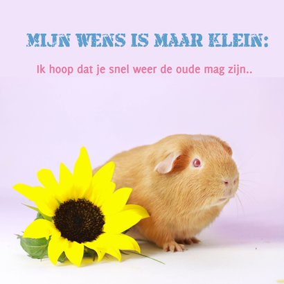 Beterschapskaart met cavia en groente 2