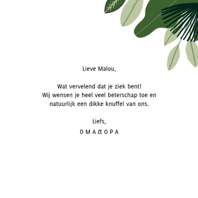 Beterschapskaart met jungle, aapje en dikke knuffel 3