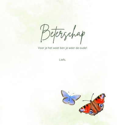 Beterschapskaart met tulpen en vlinders 3