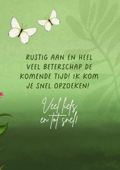 Beterschapskaart met vogel en vlinders 3