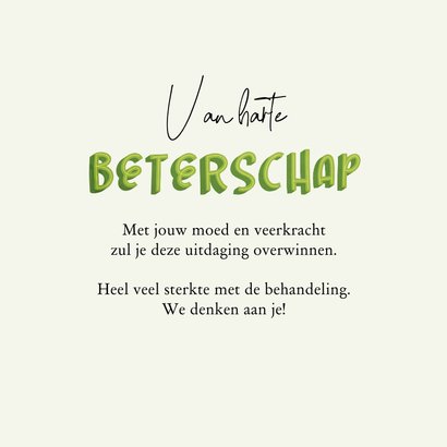 Beterschapskaart minimalistisch op weg naar beter groen 3