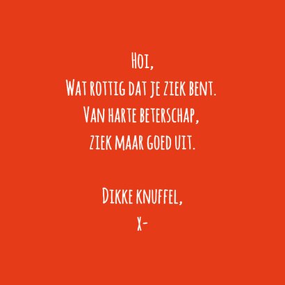 Beterschapskaart opkikkertje groene kikker 3