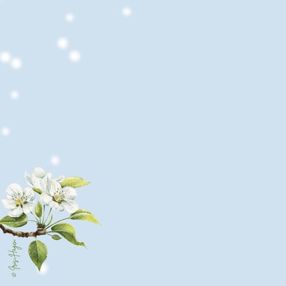 Beterschapskaart pimpelmees vogeltje met bloesem bloemen 2