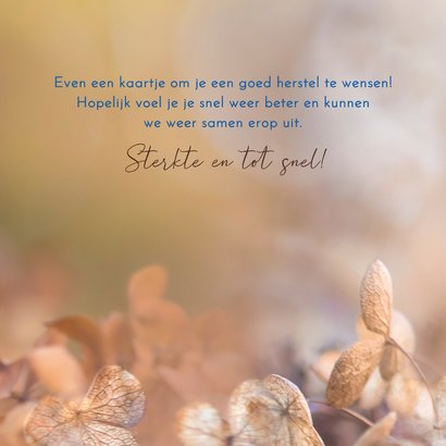 Beterschapskaart pimpelmees 3