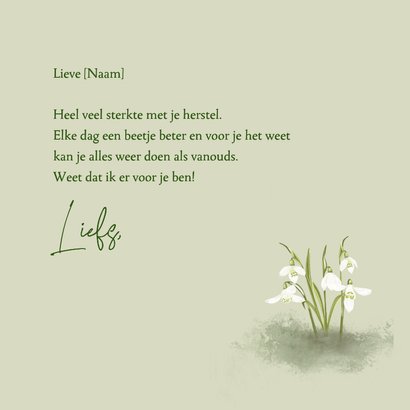 Beterschapskaart roodborst in lentesfeer 3