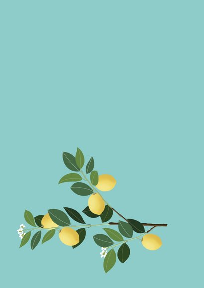 Beterschapskaart - takken van een citroenboom 2
