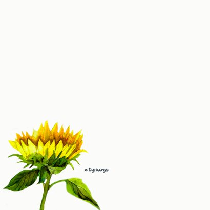 Beterschapskaart vaas met zonnebloemen en vlinders 2