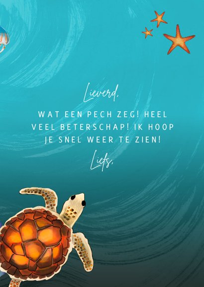 Beterschapskaart van dieren in de zee 3