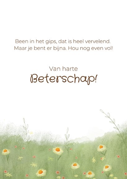 Beterschapskaart voor kind met rode panda 3