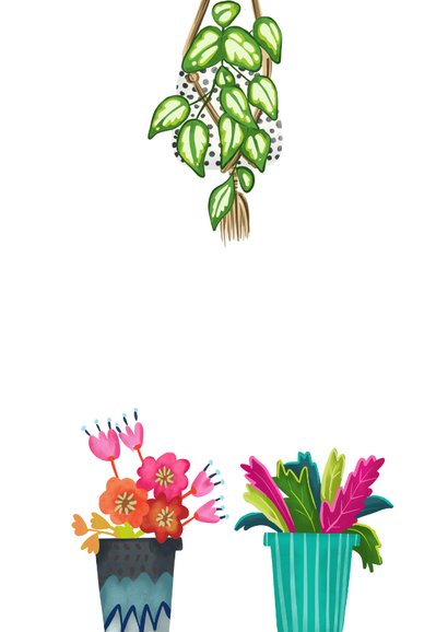 Beterschapskaart vrolijke letters kleurrijke planten in pot 2