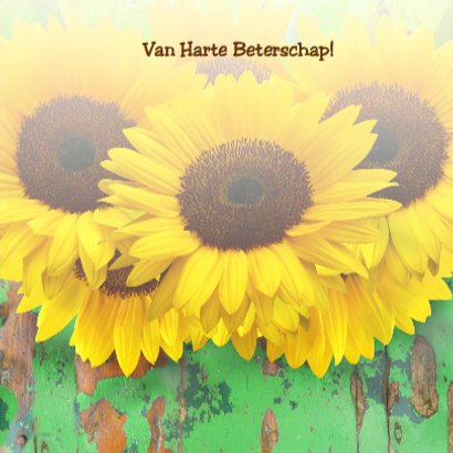 Beterschapskaart Zonnebloemen met hout en beterschap 3