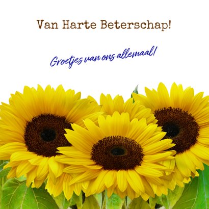 Beterschapskaart Zonnebloemen met hout en beterschap 3