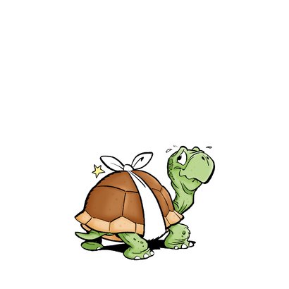 Beterschapskaartje met schildpad 'heb je auw?' 2