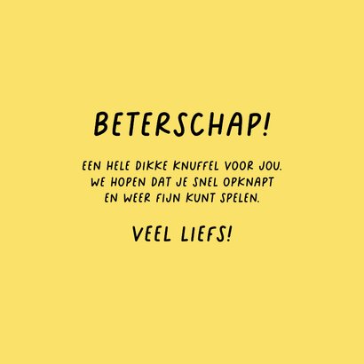 Beterschapskaartje met schildpad 'heb je auw?' 3