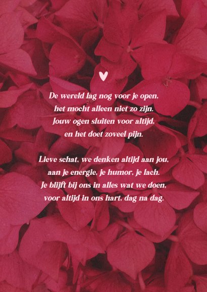 Bidprent herinneringskaart foto hortensia bloemen rood roze 2