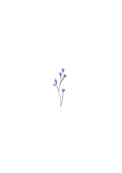 Bidprentje lavendel waterverf foto stijlvol paars Achterkant