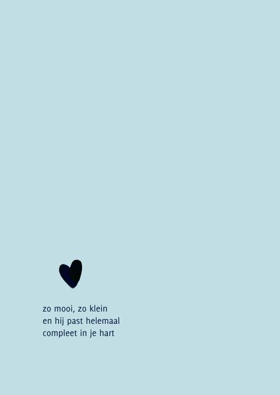 Bijzonder geboorte kaartje met illustratie voor een jongen 2