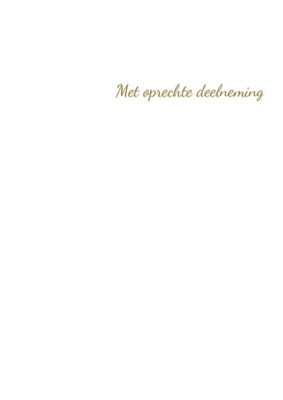 Bladerslinger aanpasbaar 3