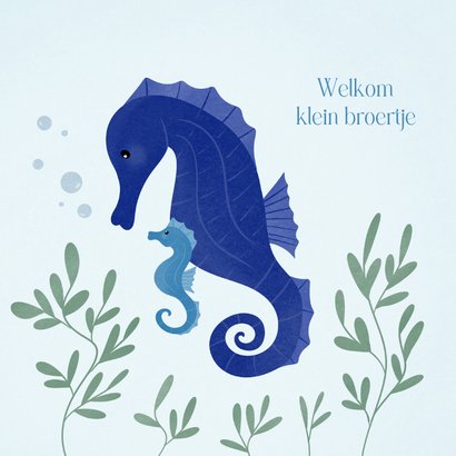 Blauw geboortekaartje met zeepaardjes voor een broertje 2