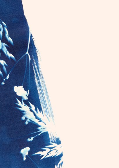 Bloemen cyanotype verjaardagskaart 2