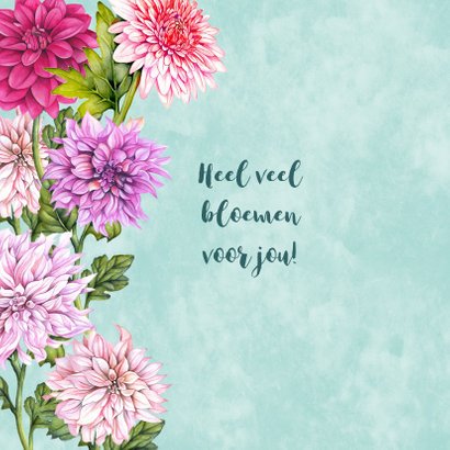 Bloemen dahlia 2