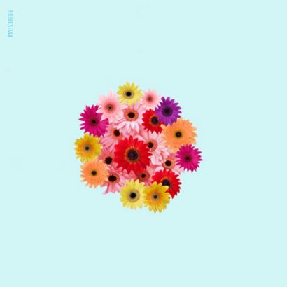 bloemen feestvarkentje 2