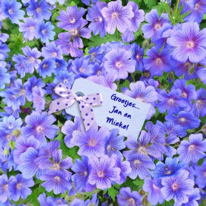 Bloemen met tekst GET WELL SOON 3