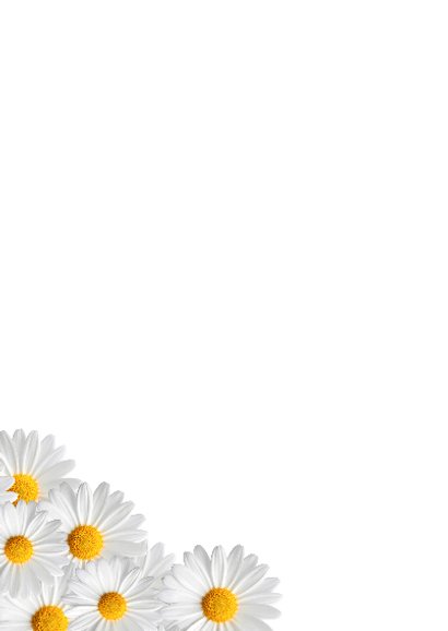Bloemen uitnodiging meisje 2