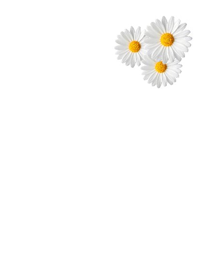 Bloemen uitnodiging meisje 3