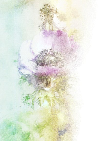 Bloemenkaart anemoon painting 2