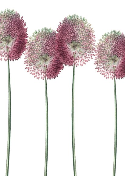 glans Zich afvragen verklaren Bloemenkaart bol bloemen illustratie | Kaartje2go