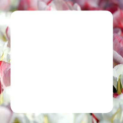 Bloemenkaart - Een Tulpen Zee OT 3