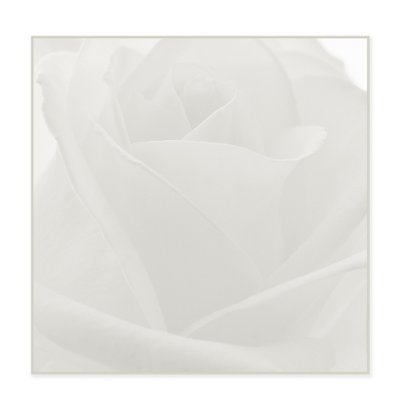 bloemenkaart rozen MM 2