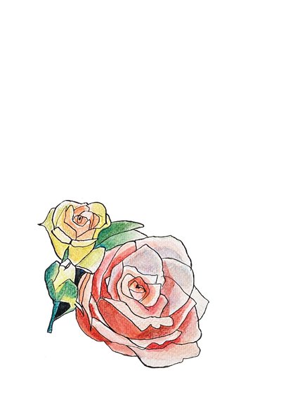 Bloemenkaarten illustratie bos rozen 2