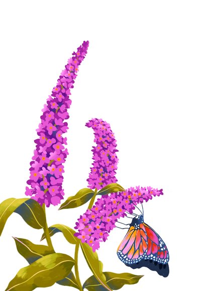 Bloemenkaartje en vlinders 2